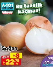 SOĞAN KG SOĞAN KG